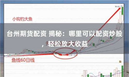 台州期货配资 揭秘：哪里可以配资炒股，轻松放大收益